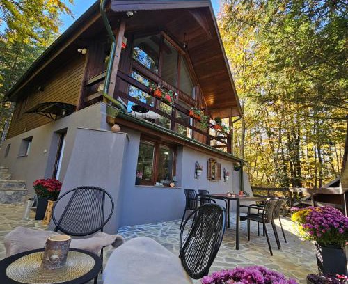 Sinaia Chalet De Esquí | Wild House