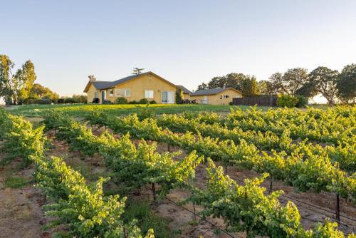 Paso Robles Casa | Wild Vines