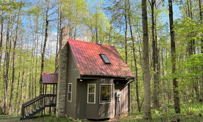 Meadows Of Dan Cabina | Wildcat Forest Cabin by Buffalo Mountain Getaway
