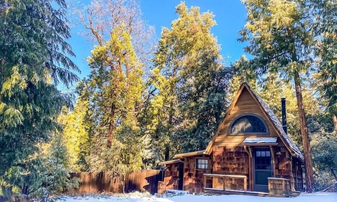 Idyllwild Apartamento | Wildland Zen Den: Tiny House Retreat with Fireplace, Grill, AC, Hammock, Record