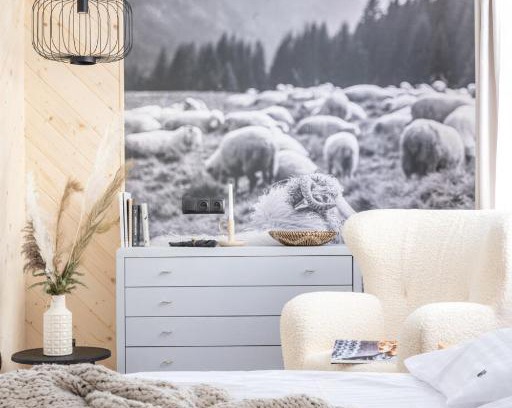 Zakopane Cama Y Desayuno | Willa Bór