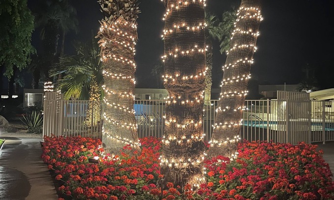 Palm Desert Condominio | William Krisel's MCM Masterpiece Rented calendar months only Jan, Feb & March