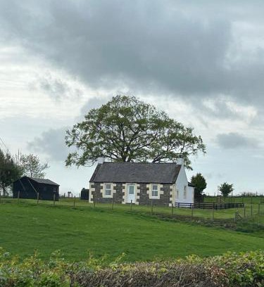 Newbridge Casa | Williamsfield Cottage