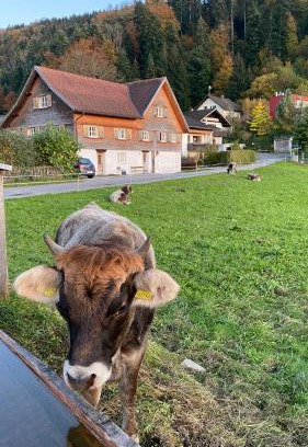 Schwarzach Apartamento | Willkommen im Rustico - Deinem Rückzugsort zwischen Bergen und Bodensee