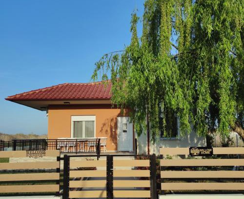 Nestos Casa | Willow Home