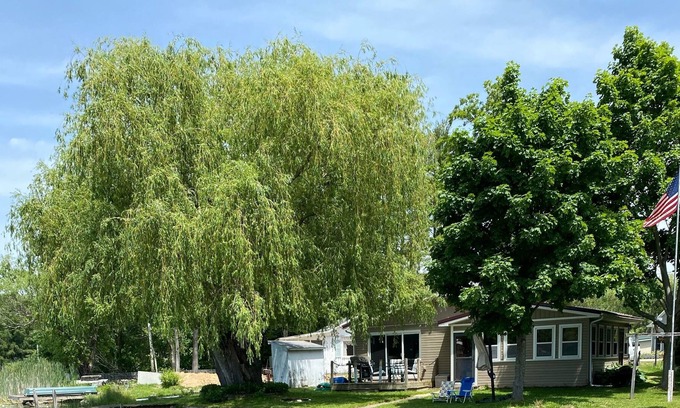 Solon Township Cabaña | Willow Shores - Newly Updated Lake Front Cottage