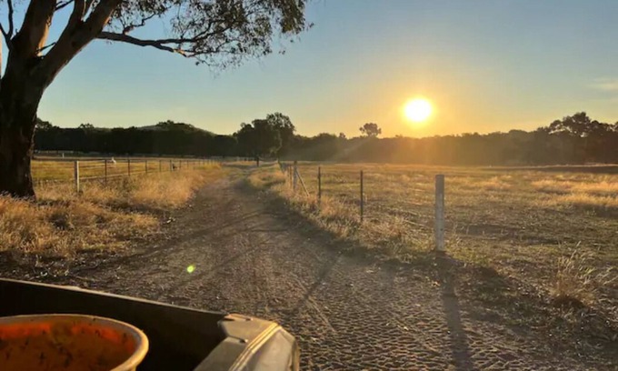 Chiltern Cabina | Willuna Sanctuary Farm Stay