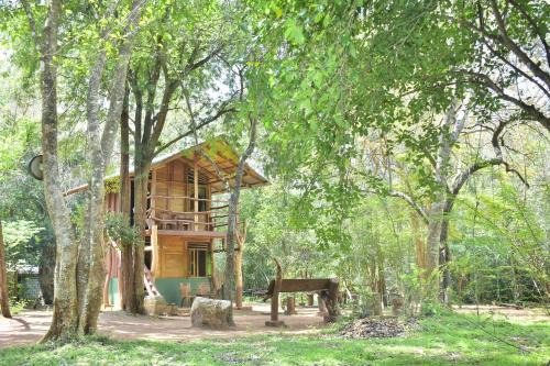 Nochchiyagama Cabina | Wilpattu Jungle Resort