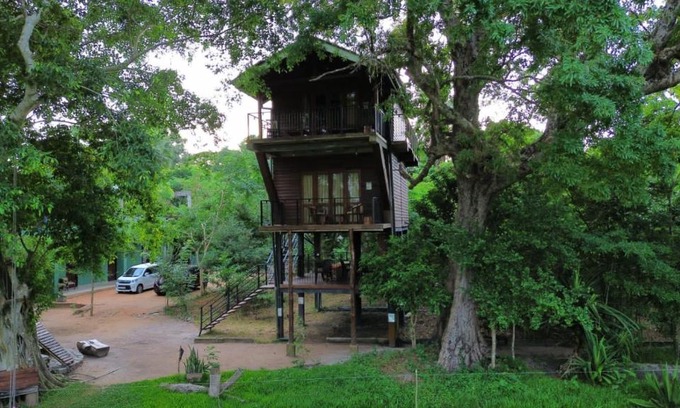Nochchiyagama Cama Y Desayuno | Wilpattu Tree House