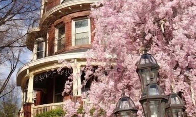 Downtown Baltimore Cama Y Desayuno | Wilson House Bed & Breakfast