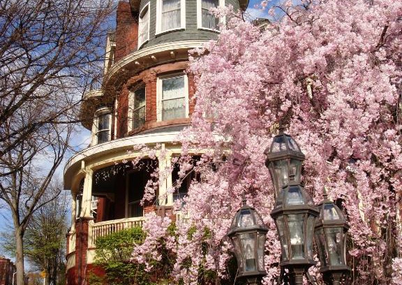 Downtown Baltimore Cama Y Desayuno | Wilson House Bed & Breakfast