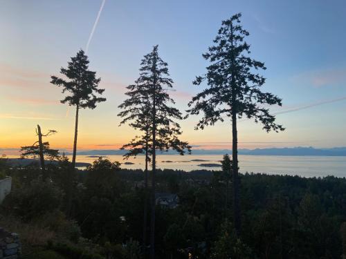 Regional District of Nanaimo Casa | Winchelsea Views