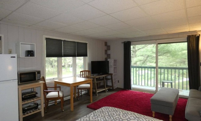 Bellaire Condominio | Wind Cliff Studio- Nice Condo at Shanty Creek.