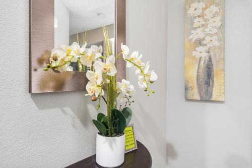 Table Rock Casa | Windsor Cottage - Fall Creek Beauty by Table Rock