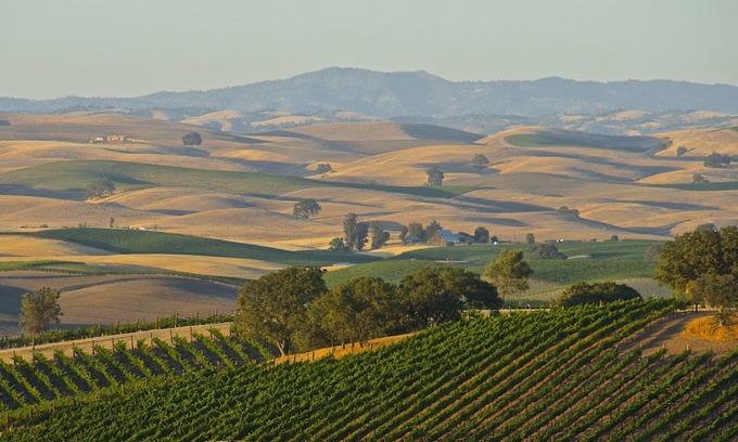 Paso Robles Villa | Wine Country Villa -- 9 bedroom, 4 bath, Sleeps 25+