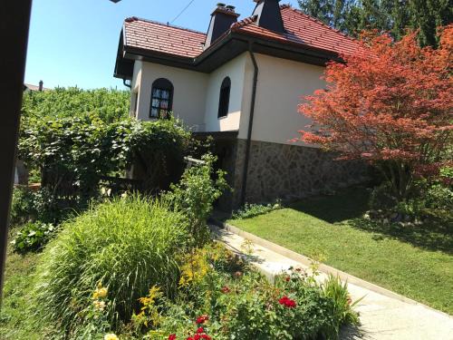 Videm Casa | Wine & Nature & Tour
