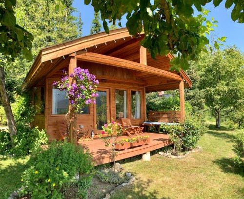 Kaslo Complejo | Wing Creek Resort