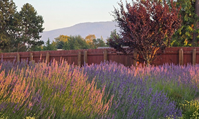 Sequim Casa | “Wise Old Owl Retreat – Spacious, Serene & Minutes from Every Olympic Wonder”