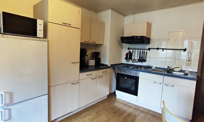 Gruenhain-Beierfeld Apartamento | Wohnen am Balkon des Erzgebirges Ferienwohnung Ansimali