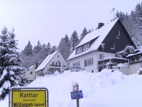 Rattlar Apartamento | Wohnung bei Willingen für Wintersport