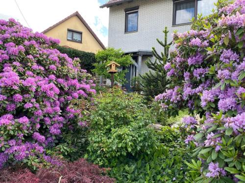 Emsetal Apartamento | Wohnung nahe Inselsberg Wanderwege