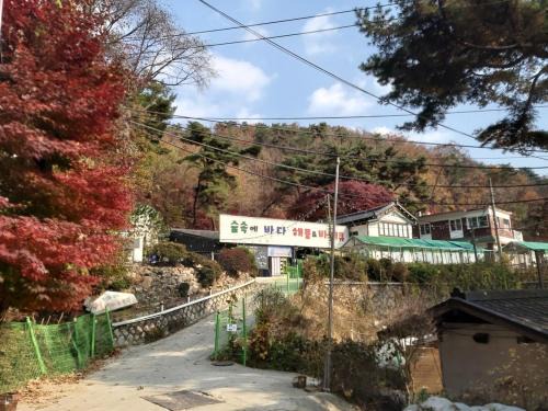 Ui-dong Casa | Wolbyeok Town
