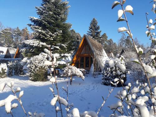 Schellbronn Casa | Wolfseeweg 11