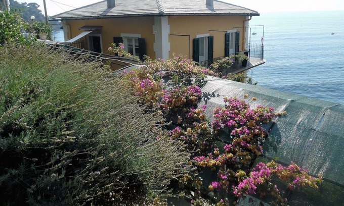 Mortola Villa | Maravillosa casa con jardín privado inmerso en el parque de Portofino.