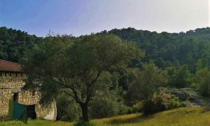 Halkidiki Cabaña | Wood & Stone dream view house B