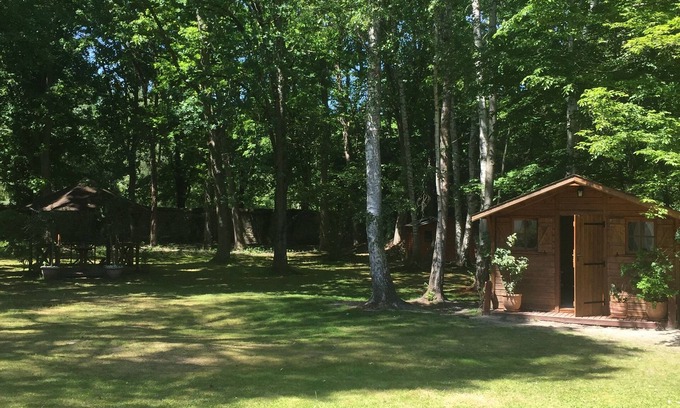 Noisy-sur-Ecole Chalet De Esquí | Wooden chalet in the middle of a wooded park