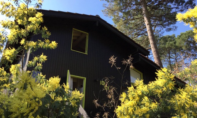 Lacanau Chalet De Esquí | Chalet de madera en el lago Lacanau: un remanso de paz rodeado de naturaleza ...