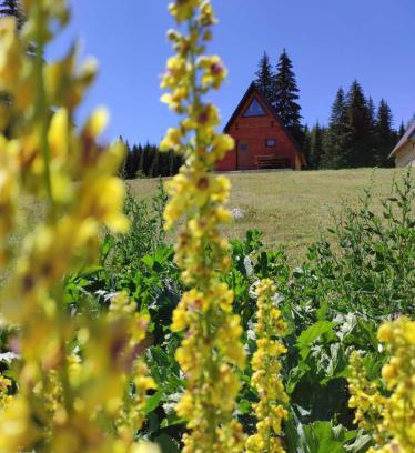 Zabljak Chalet De Esquí | Wooden cottage Podgora