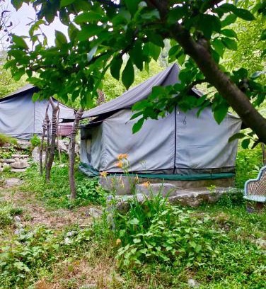 Jibhi Otro | woodland camping tent jibhi