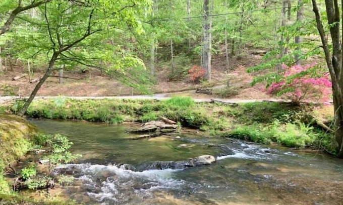Ellijay Cabina | Woodland Creekside Cabin/HotTub/WiFi/Gameroom