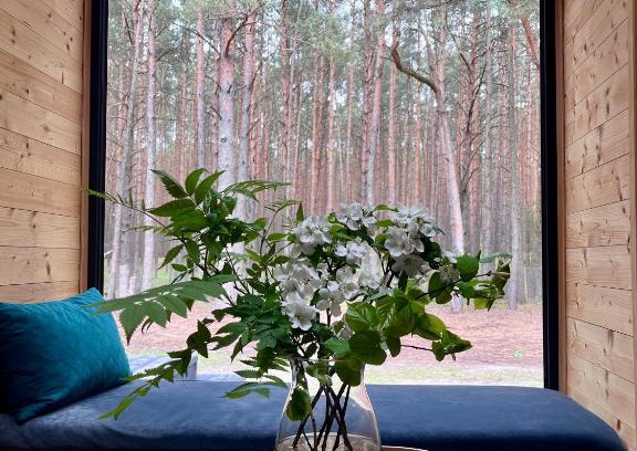 Wyszkow Casa | Woodland - dom z sauną i balią