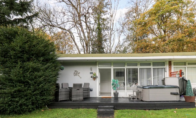 New Quay Cabina | WOODLAND FOREST, family friendly, with hot tub in New Quay