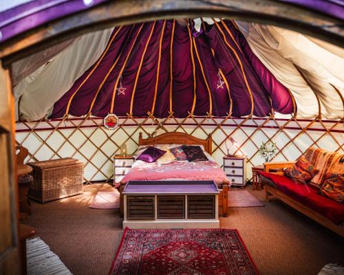West Buckland Otro | Woodland Yurt at Kingsmead