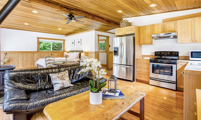 Langley Cabaña | Woodsy studio with high-speed WiFi, gas fireplace, and shared grill
