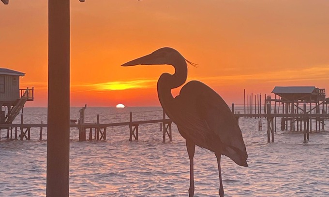 Alabama Gulf Coast Casa | Write on the Bay