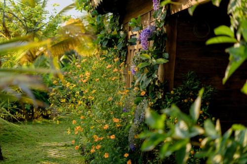 Buon Ma Thuot Cama Y Desayuno | Xóm Sình Homestay & Farmstay Buôn Ma Thuột ĐakLak