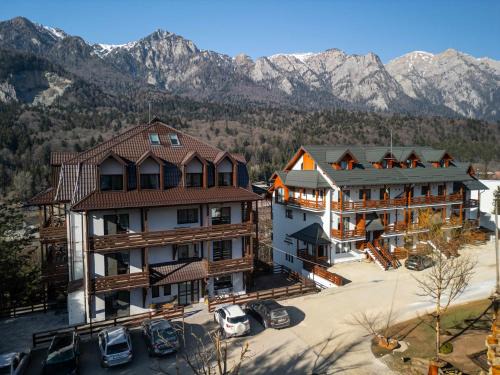 Poiana Tapului Apartamento | Yael Luxury Apartments 4