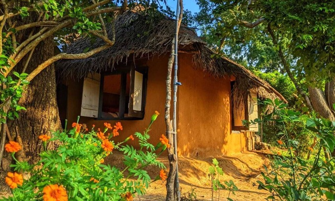 Palatupana Cabina | Yala Jungle Haven