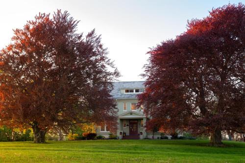 Town of Varick Cama Y Desayuno | Yale Manor B&B & Yurt Glamping