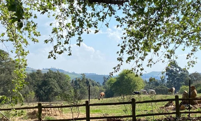 Curry's Post Casa | Yellowwoods Farm - WILLOUGHBYS COTTAGE and OLD STABLES COTTAGE