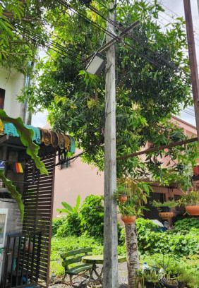 Trang Casa | Yenta4fafad