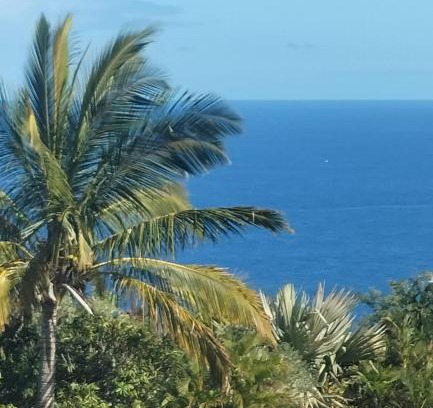 Piton Saint-Leu Casa | Ylang Ylang