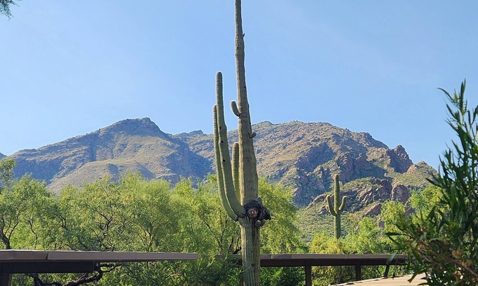 Tucson Condominio | Your Serenity in a Sonoran Oasis