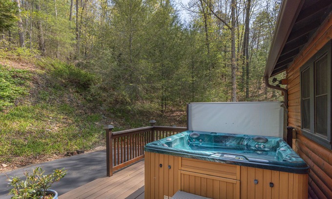 Waynesville Cabina | Your Smoky Mountain Cabin suite…In the heart of the Smokies. Dog friendly!