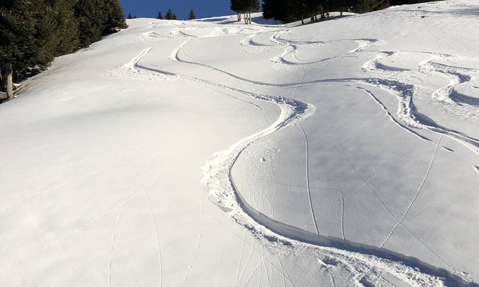 Faschina Apartamento | Your holiday apartment in Damüls Faschina | SKI IN / SKI OUT
