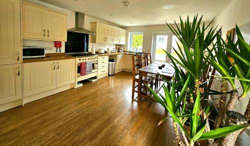 Kendal Casa | Yucca cottage